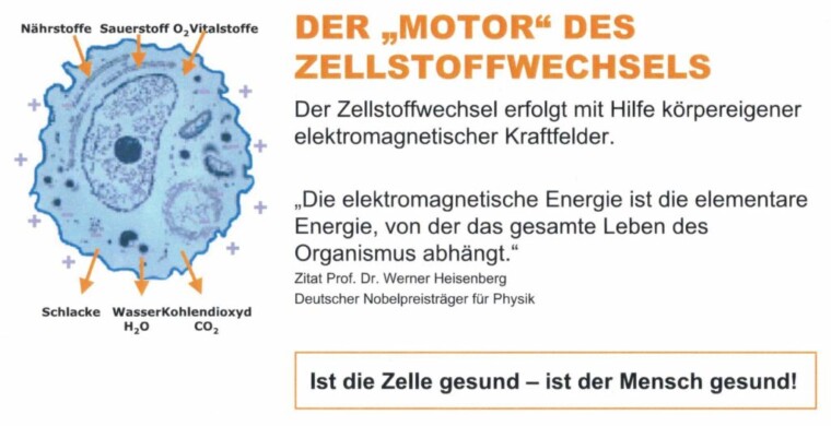 MyWinVita Zellstoffwechsel